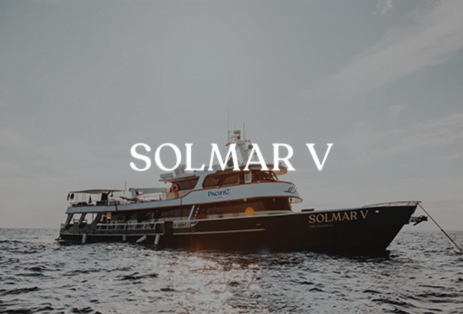Solmar